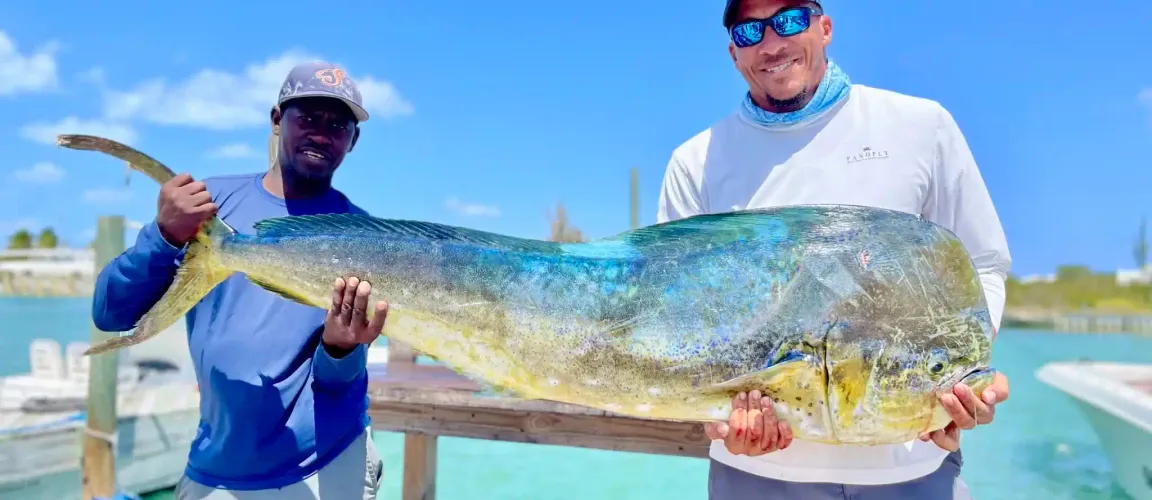 Angler holding a mahi-mahi caught on a fishing charter out of West End Roatan Honduras
