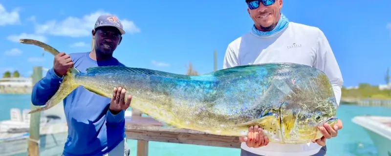 Angler holding a mahi-mahi caught on a fishing charter out of West End Roatan Honduras